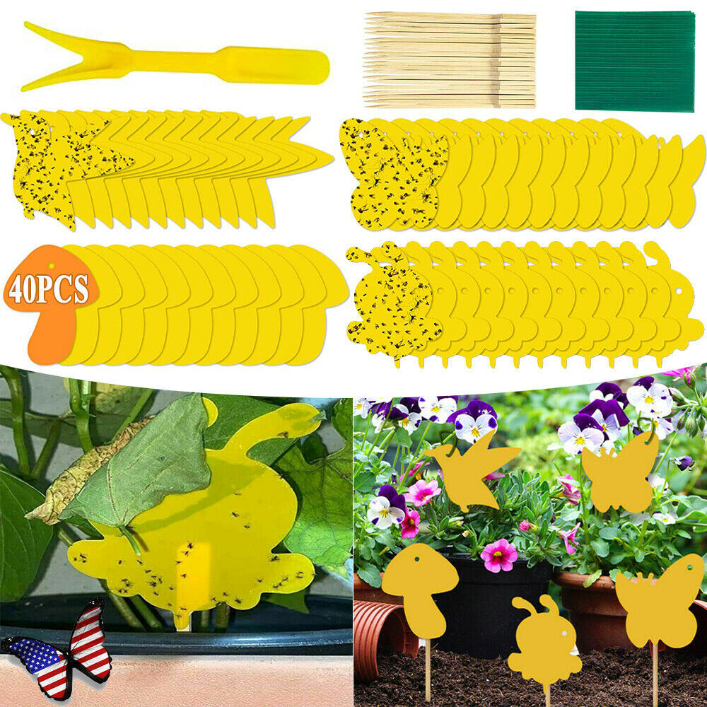 Fly Sticky Traps Dual-Sided